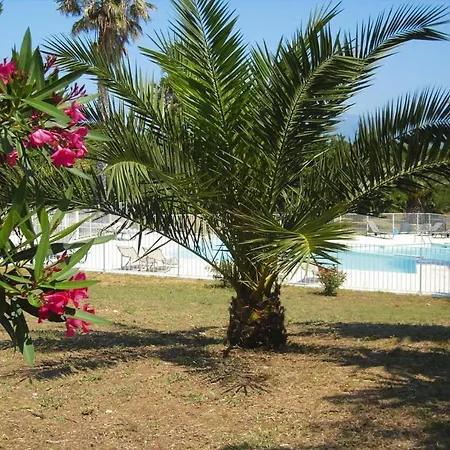 Citadelle Resort, St Florent With Communal Pool, Studio